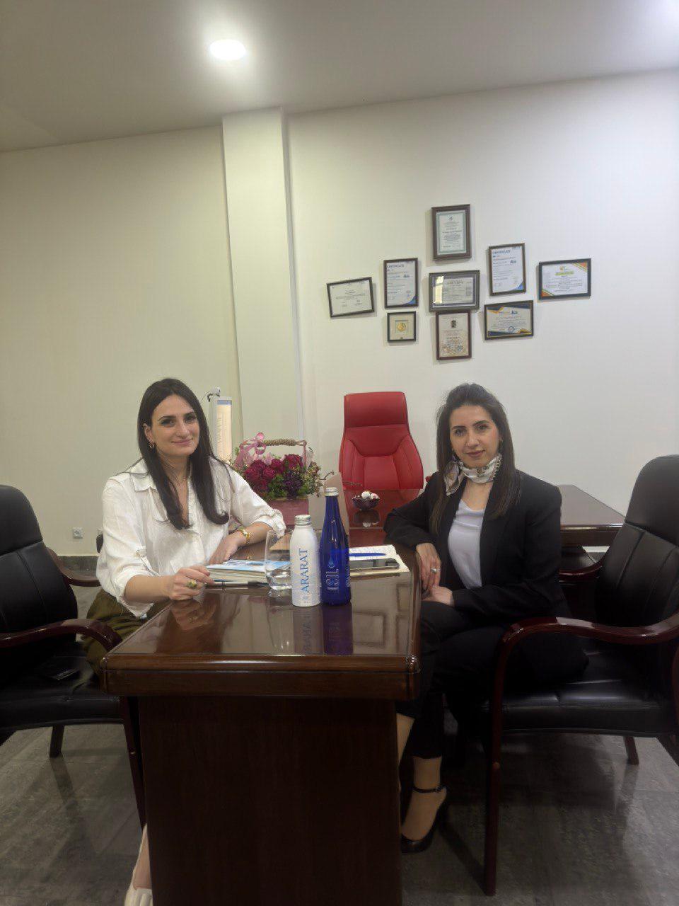 Հանդիպում Սիլ Ինշուրանսի գործադիր տնօրեն Արմինե Մելքոնյանի հետ